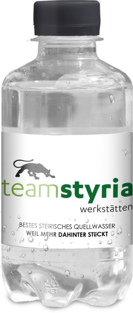 Flasche Team Styria