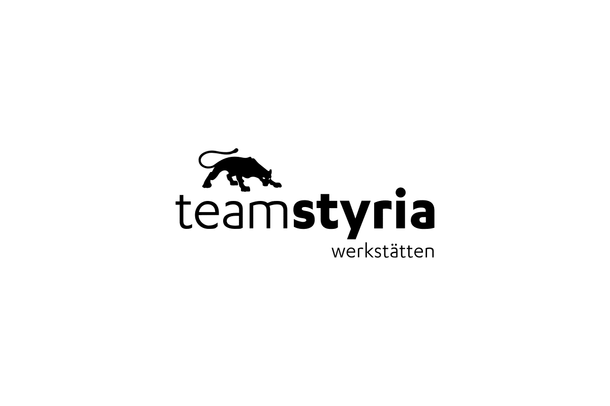 Team Styria